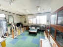 トイプードル18